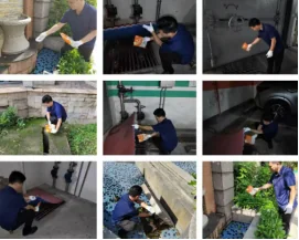 2025081419914152.webp image.webp