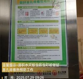 图片14.webp