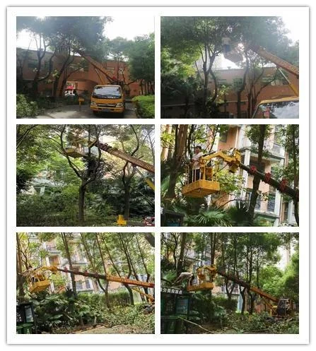 2025090410964451.webp 图片3.webp
