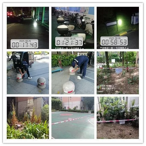 2025090414663762.webp 图片11.webp
