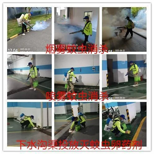 2025090467548883.webp 图片5.webp