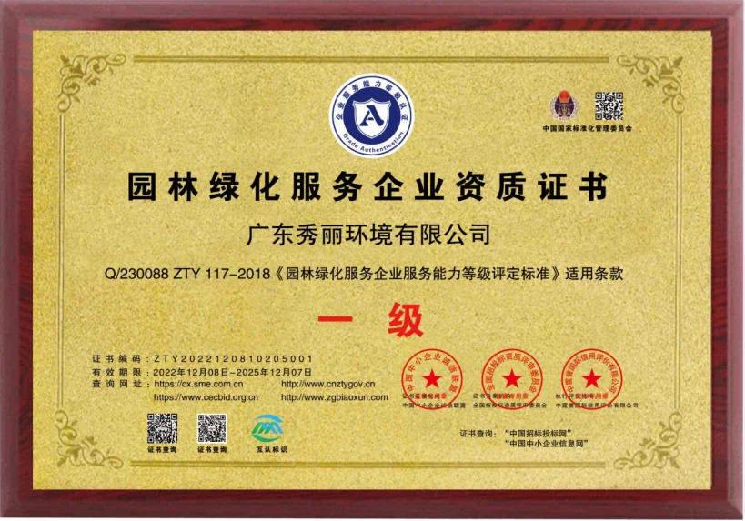 2025112066647881.webp image.webp