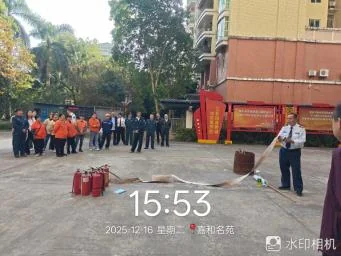 2025122284026783.webp 图片10.webp
