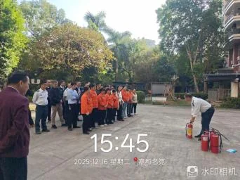 2025122299243731.webp 图片9.webp